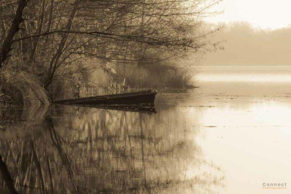 Vieille barque immergée au bord du lac en automne