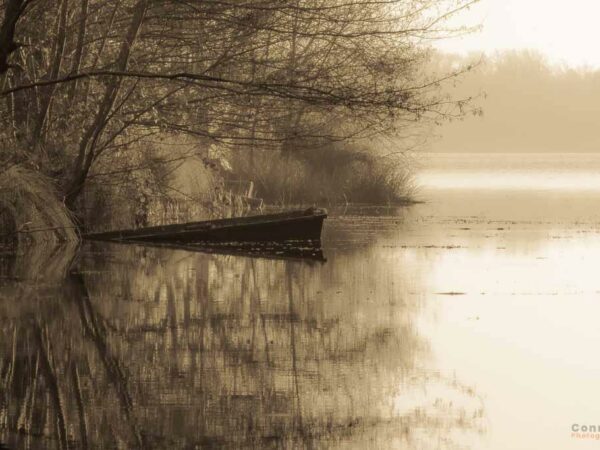 Vieille barque immergée au bord du lac en automne