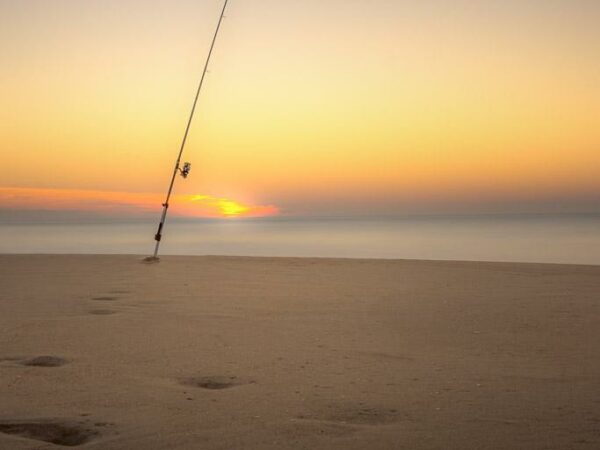 Plénitude et sérénité avec cette canne à pêche planté sur la plage au coucher du soleil au bord de l'océan
